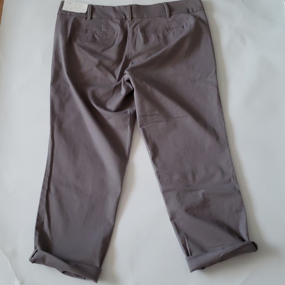 Loft Gray Modern Roll Cuff Chino Pants 